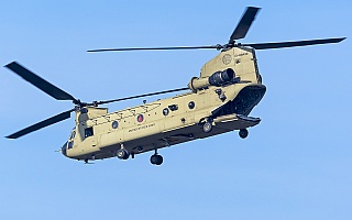 Bild: 17948 Fotograf: Uwe Bethke Airline: USA - Army Flugzeugtype: Boeing-Vertol CH-47 F Chinook