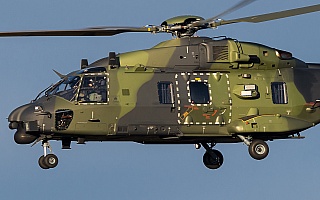 Bild: 20728 Fotograf: Uwe Bethke Airline: Heeresflieger Flugzeugtype: NH Industries NH90 TTH