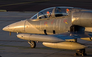 Bild: 21556 Fotograf: Uwe Bethke Airline: Skyline Aviation Flugzeugtype: Aero L-39ZO Albatros