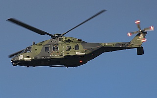 Bild: 21627 Fotograf: Frank Airline: Heeresflieger Flugzeugtype: NH Industries NH90 TTH