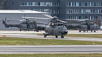 Bild: 25634 Fotograf: Uwe Bethke Airline: Switzerland - Air Force Flugzeugtype: Eurocopter AS-532UL Cougar Mk 1
