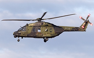 Bild: 25697 Fotograf: Frank Airline: Heeresflieger Flugzeugtype: NH Industries NH90 TTH